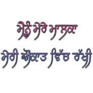 Punjabi Status