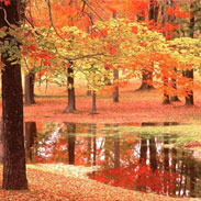 seasons autumn