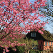 seasons spring