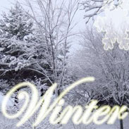 seasons winter